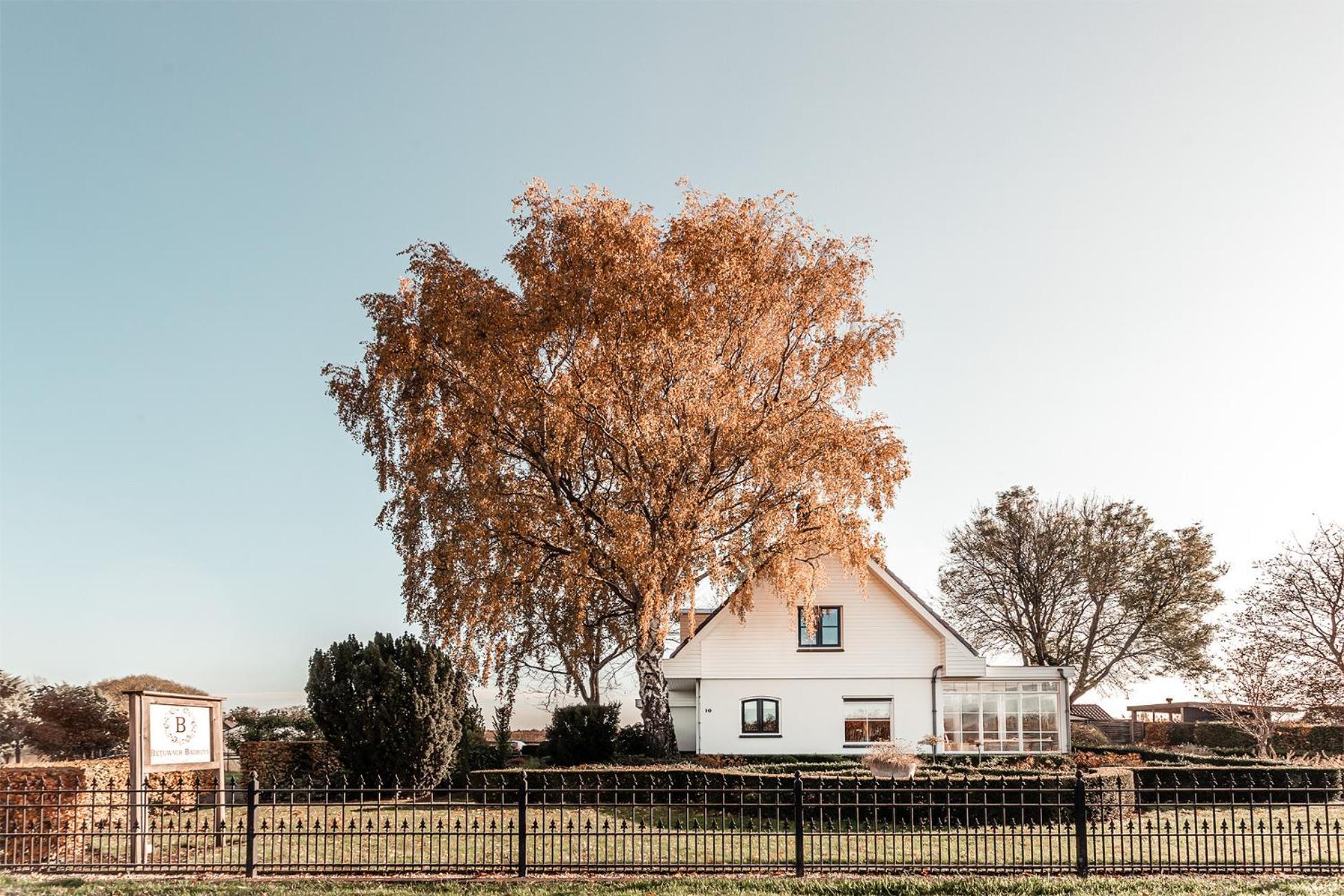 Bed and Breakfast Betuwsch Badhuys Lienden Exteriér fotografie